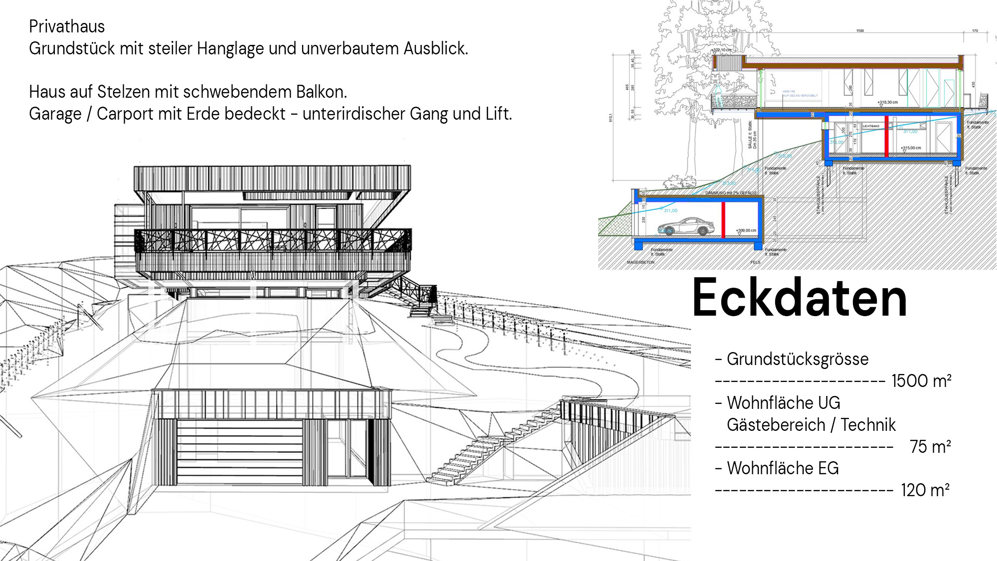 Privathaus auf Stelzen - Pötscher Design
